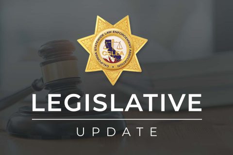 CSLEA Legislative Update – August 14, 2023
