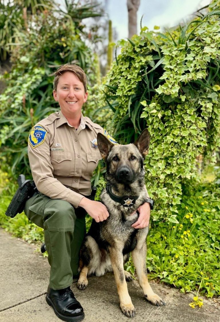 Officer Laura Decker Named CDFW’s 2023 Wildlife Officer of the Year ...